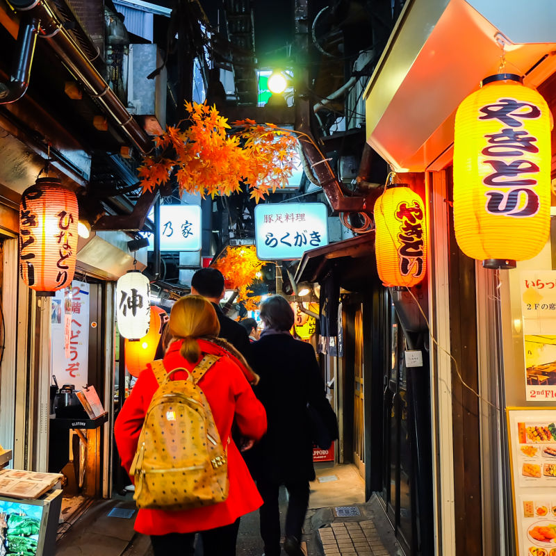 Tourist In Tokyo Alley