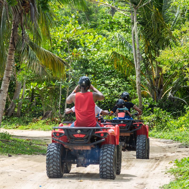 Group Of Tourists On Mountain Bikes Crossing A Path In The Jungle