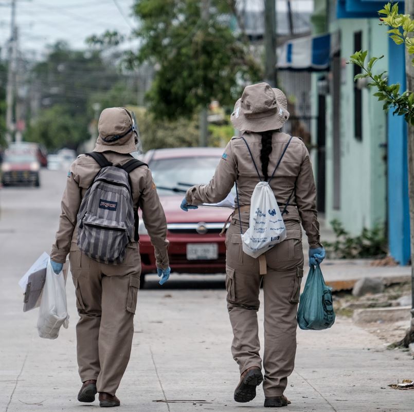 Workers Walking Down The Street Looking For Dengue Mosquitoes