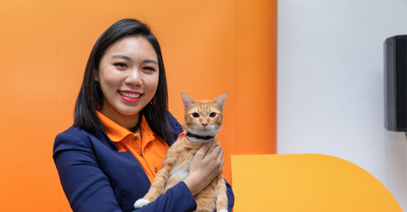 This Malaysian Insurance Company Has Unveiled Its New Agent...and It'S A Cat