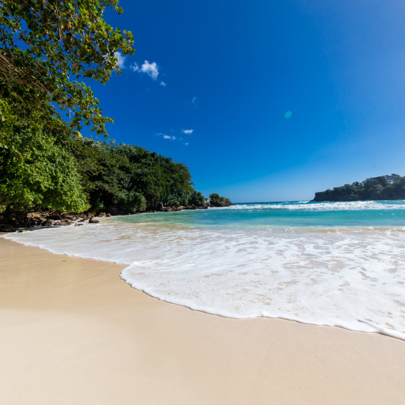 A Sandy Beach With White Sand And Green Palm Trees.