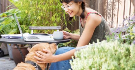 3 Important Differences Between Pet Insurance and Human Health Insurance