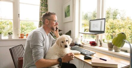 Here Are 3 Tips to Help Afford an Emergency Vet Visit