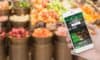 Pinnacle Pet Group enters the French market with the acquisition of HD Assurances - UKTN