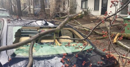 Property damage caused by the storm may be eligible for compensation
