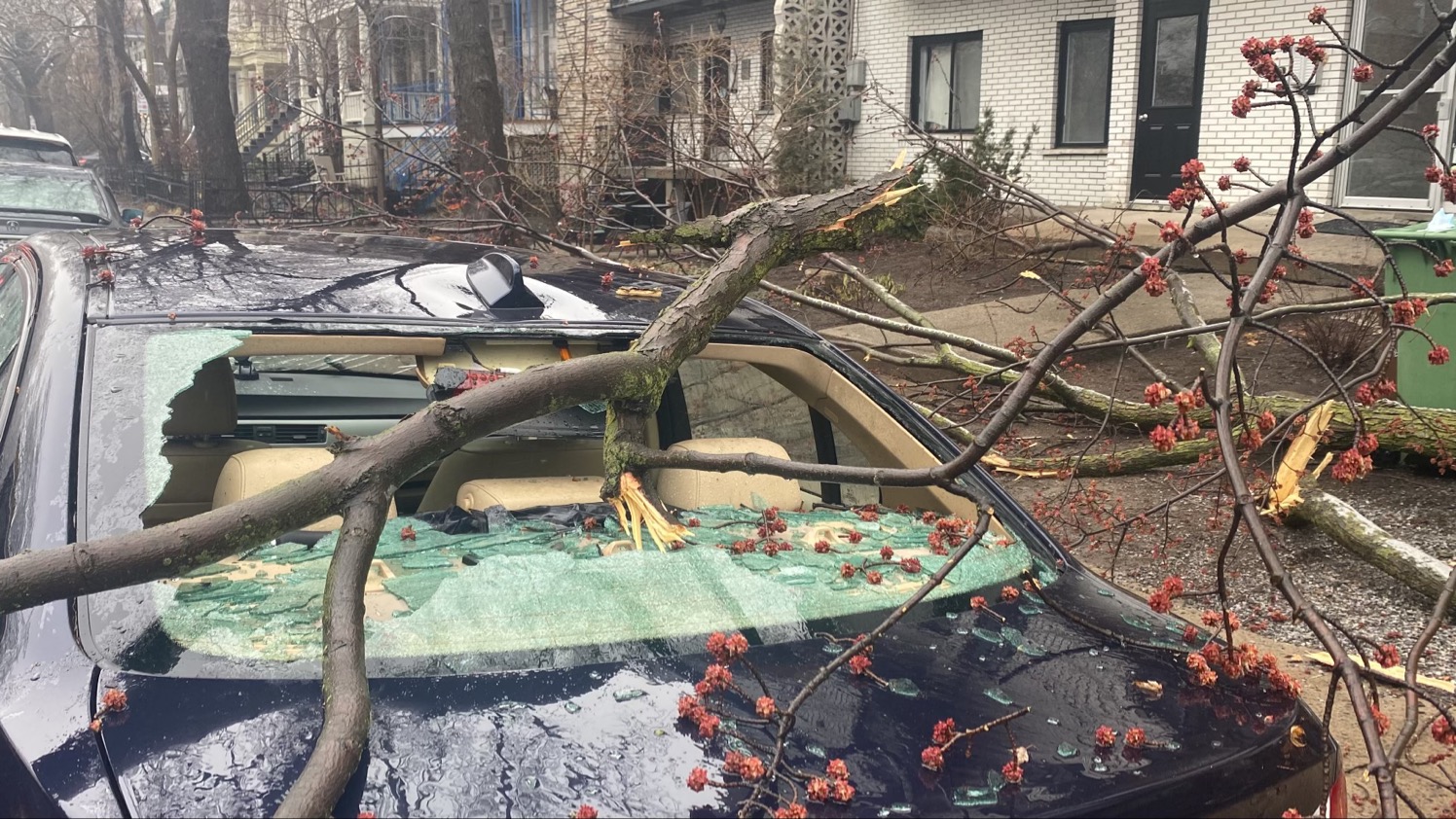 Property damage caused by the storm may be eligible for compensation