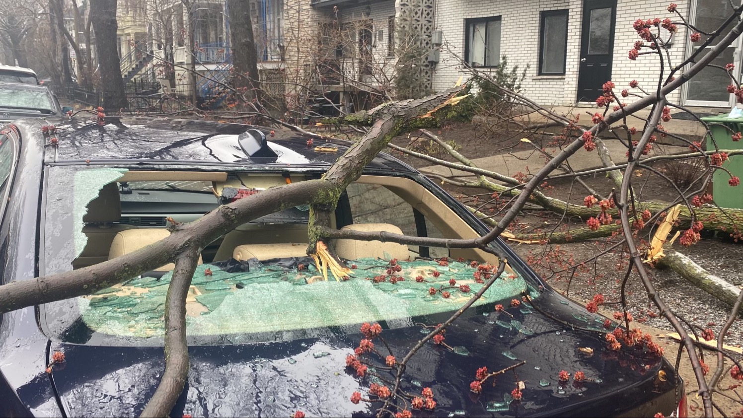 Property Damage Caused By The Storm May Be Eligible For Compensation