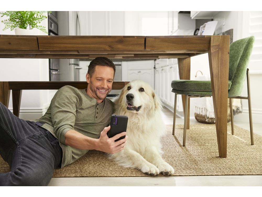Telus Health Offers Virtual Veterinary Care For Cats And Dogs In Ontario With Mypet