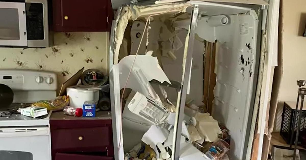 Woman'S Month-Old Fridge Explodes, Significantly Damaging Her Home