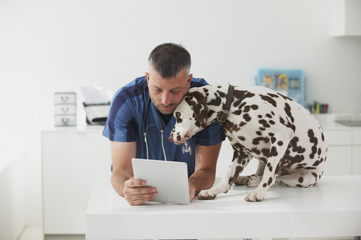 Would You Go Into Debt For Your Pet'S Health Care?  78% Probably Would