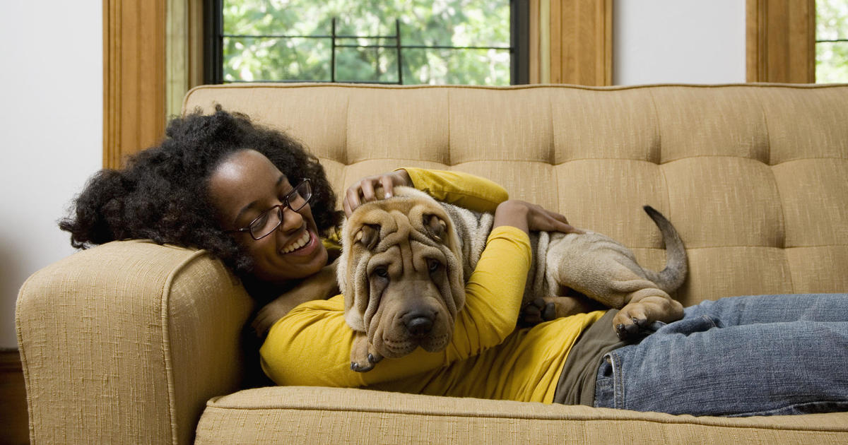 What Are Your Insurance Options For Pets With A Pre-Existing Condition?